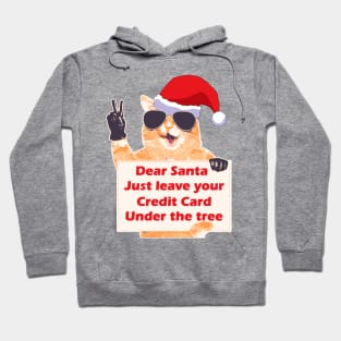 Dear Santa Hoodie